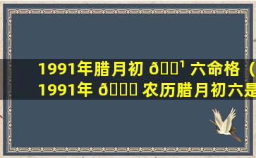 1991年腊月初 🌹 六命格（1991年 🍁 农历腊月初六是什么星座）